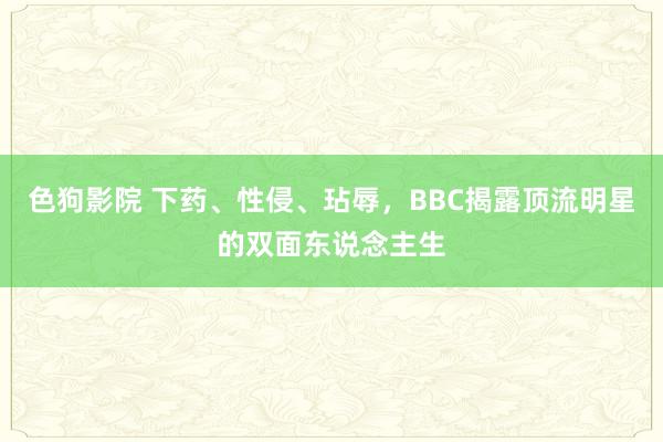 色狗影院 下药、性侵、玷辱，BBC揭露顶流明星的双面东说念主生