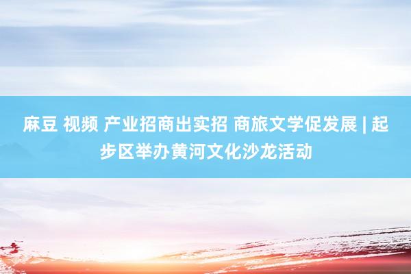 麻豆 视频 产业招商出实招 商旅文学促发展 | 起步区举办黄河文化沙龙活动