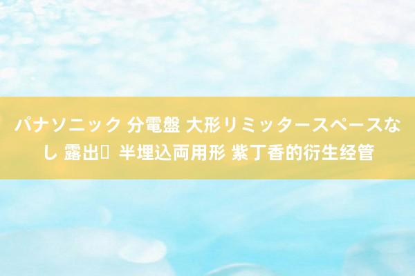 パナソニック 分電盤 大形リミッタースペースなし 露出・半埋込両用形 紫丁香的衍生经管