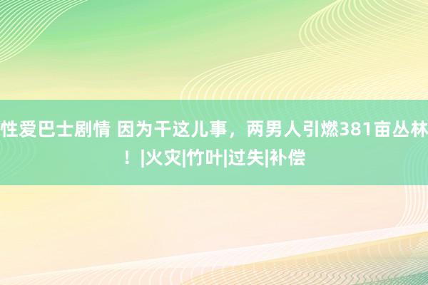 性爱巴士剧情 因为干这儿事，两男人引燃381亩丛林！|火灾|竹叶|过失|补偿