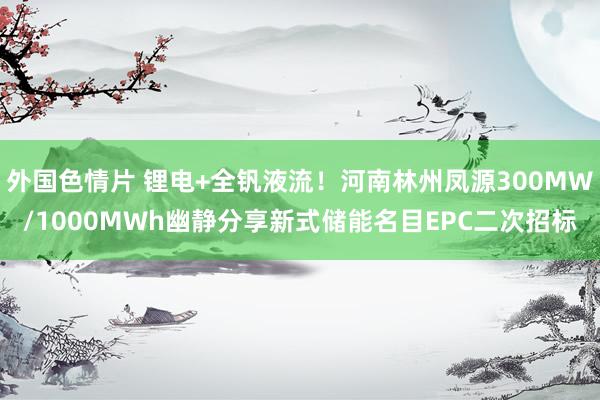 外国色情片 锂电+全钒液流！河南林州凤源300MW/1000MWh幽静分享新式储能名目EPC二次招标