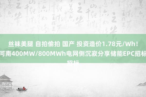 丝袜美腿 自拍偷拍 国产 投资造价1.78元/Wh！河南400MW/800MWh电网侧沉寂分享储能EPC招标